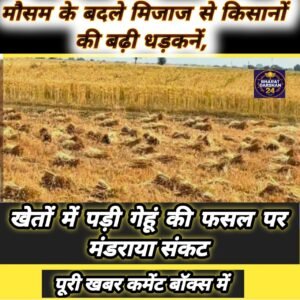 मौसम के बदले मिजाज से किसानों की बढ़ी धड़कनें, खेतों में पड़ी गेहूं की फसल पर मंडराया संकट।